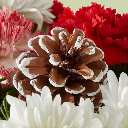 Candy Cane Lane Bouquet – DON'S FLORAL STUDIO, Leon IA