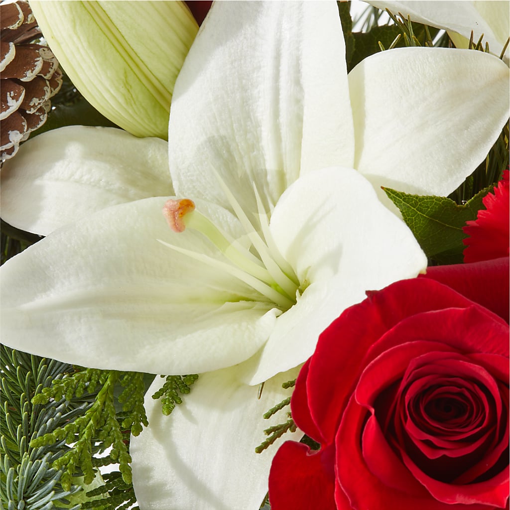 Oh So Jolly Bouquet – DON'S FLORAL STUDIO, Leon IA