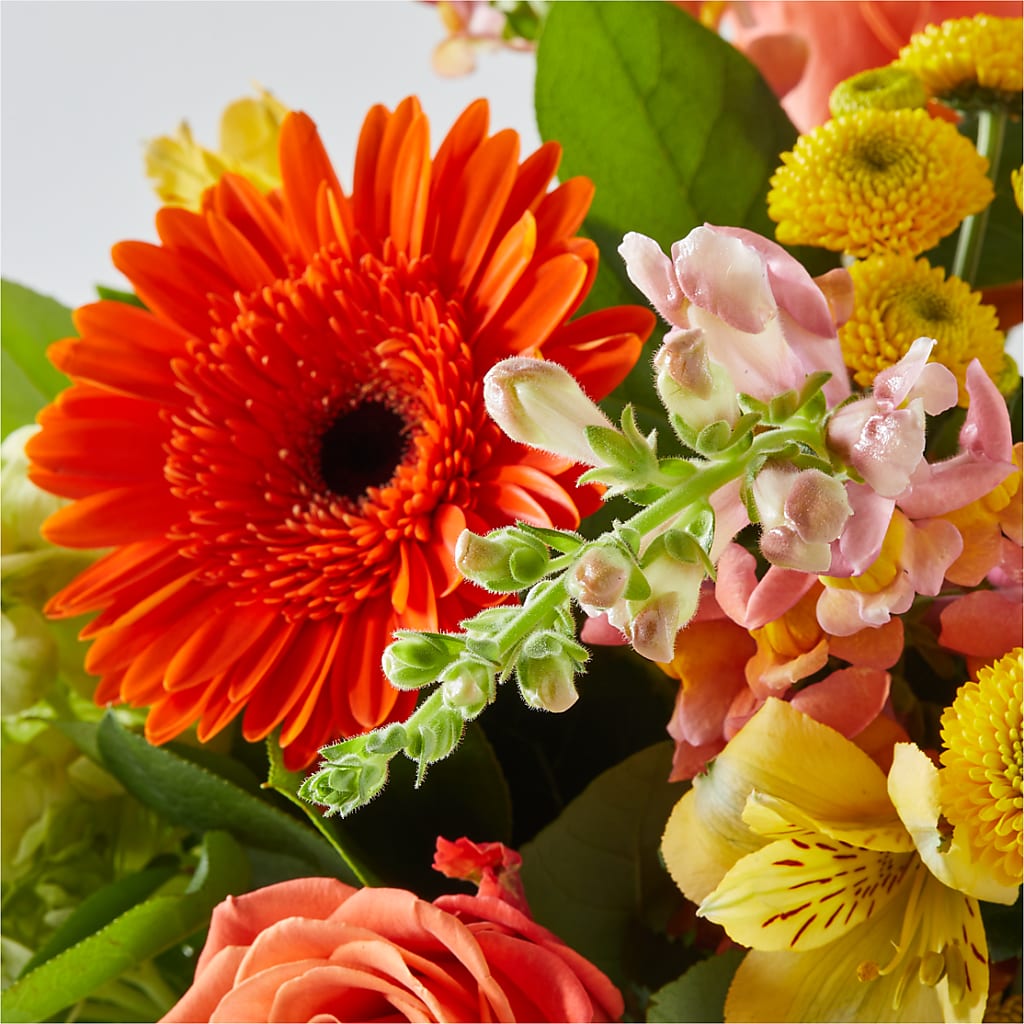 Autumn Sunshine Bouquet – DON'S FLORAL STUDIO, Leon IA