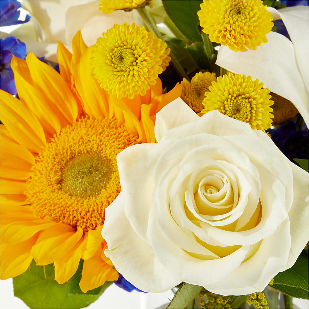 Stargazing Bouquet – DON'S FLORAL STUDIO, Leon IA