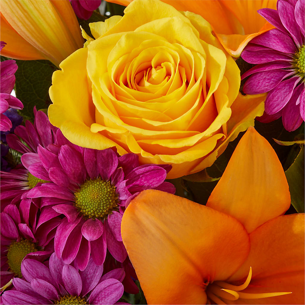 Colorful Visions Bouquet – DON'S FLORAL STUDIO, Leon IA