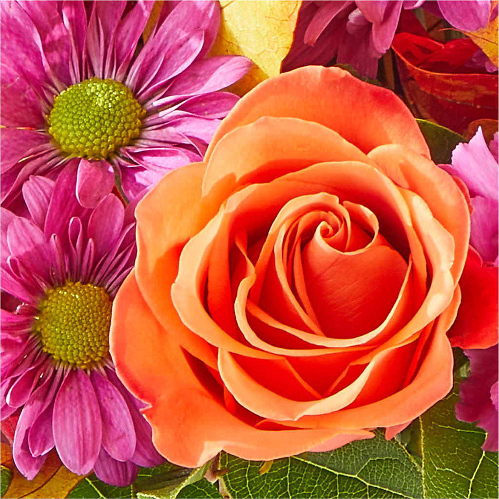 Mum's the Word Bouquet – DON'S FLORAL STUDIO, Leon IA
