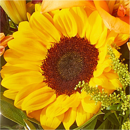 Seasons Change Bouquet – DON'S FLORAL STUDIO, Leon IA