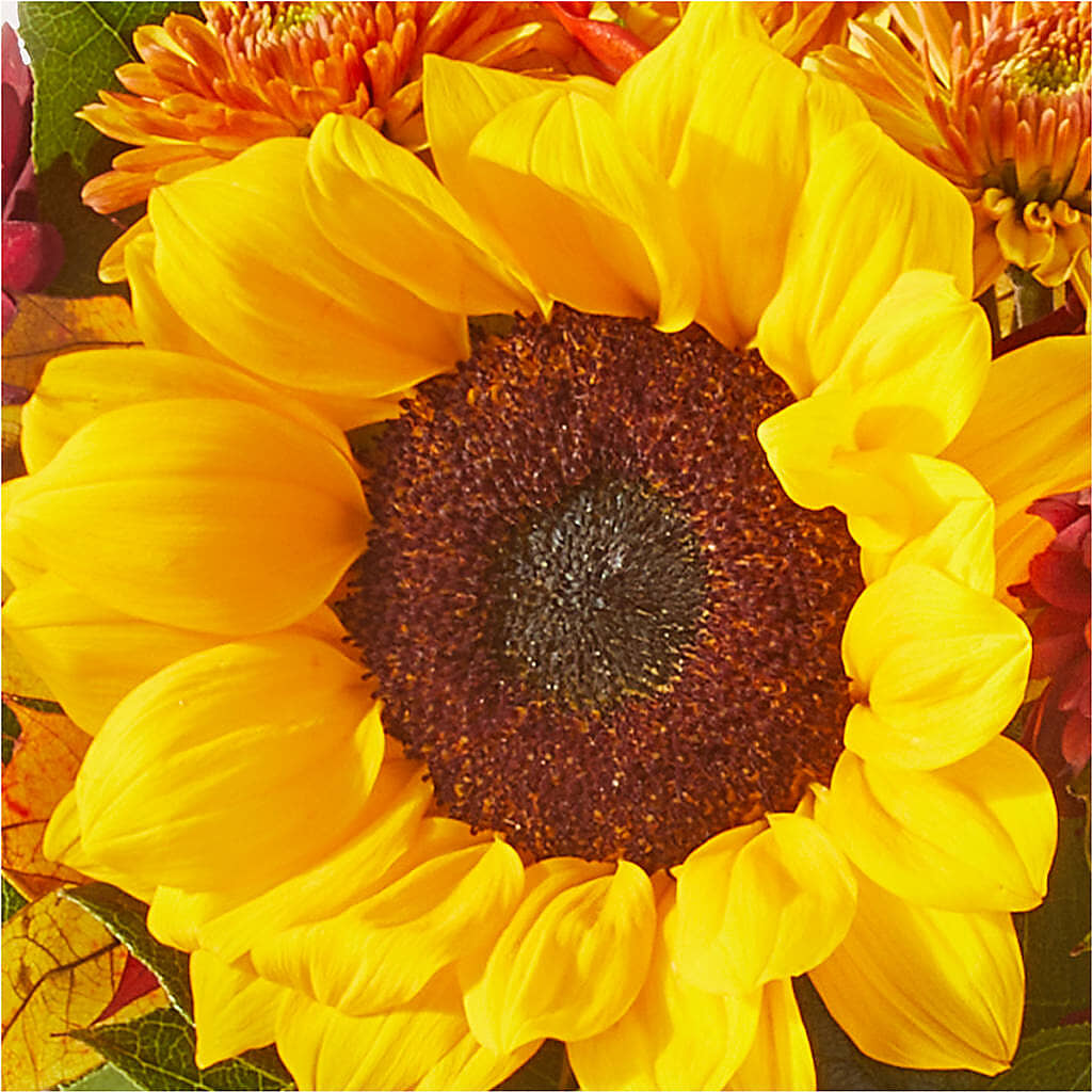 Sunny Side Bouquet – DON'S FLORAL STUDIO, Leon IA