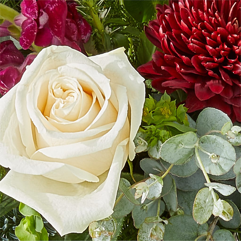 Cranberry Fizz Bouquet – DON'S FLORAL STUDIO, Leon IA