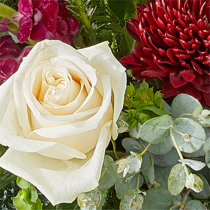 Cranberry Fizz Bouquet – DON'S FLORAL STUDIO, Leon IA