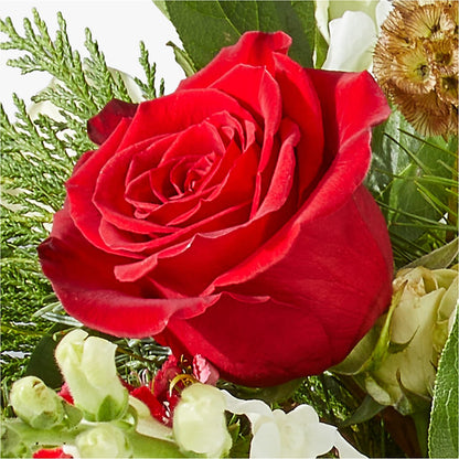 Deck the Halls Bouquet – DON'S FLORAL STUDIO, Leon IA