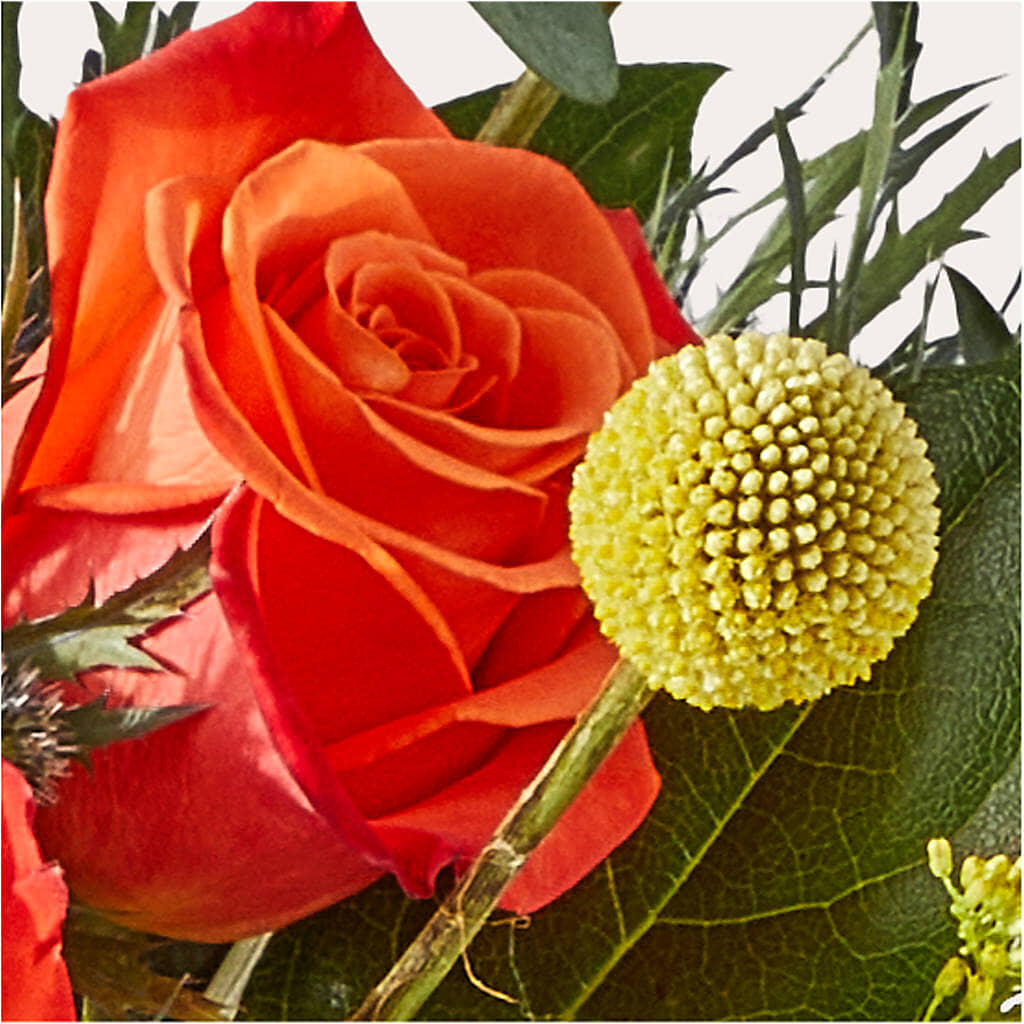 Disco Bouquet – DON'S FLORAL STUDIO, Leon IA