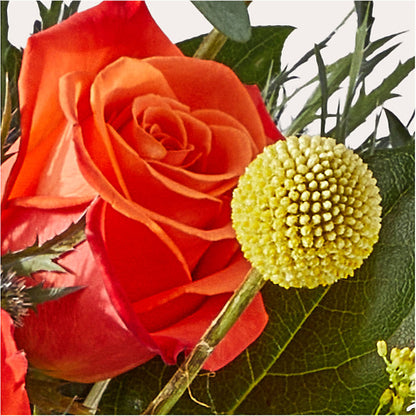 Disco Bouquet – DON'S FLORAL STUDIO, Leon IA