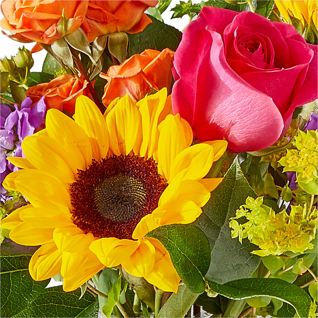 Vibrant Greetings Bouquet – DON'S FLORAL STUDIO, Leon IA