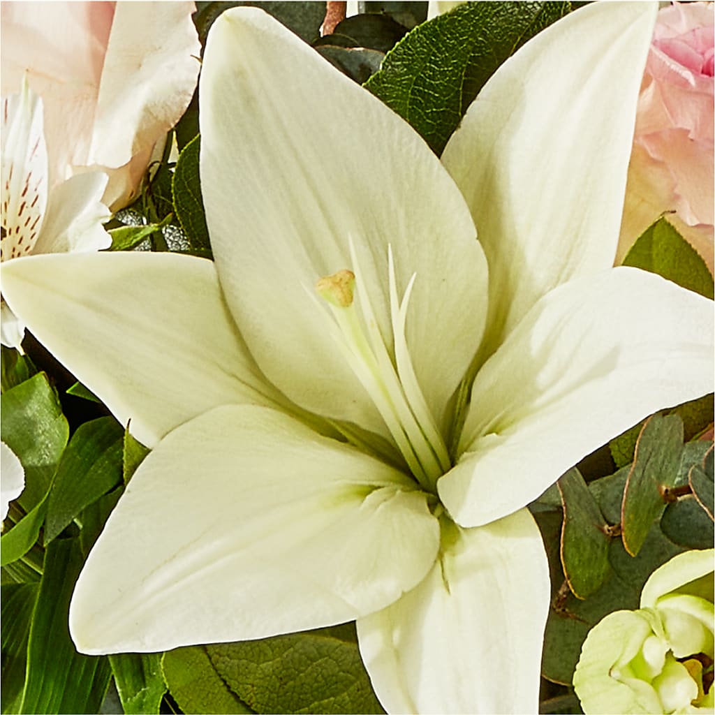 Ballet Slippers Bouquet – DON'S FLORAL STUDIO, Leon IA