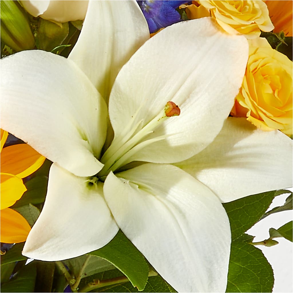 Wonderfully Sunny Bouquet – DON'S FLORAL STUDIO, Leon IA