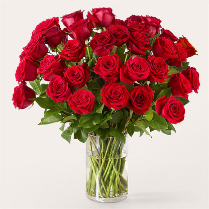 The One Red Rose Bouquet – DON'S FLORAL STUDIO, Leon IA