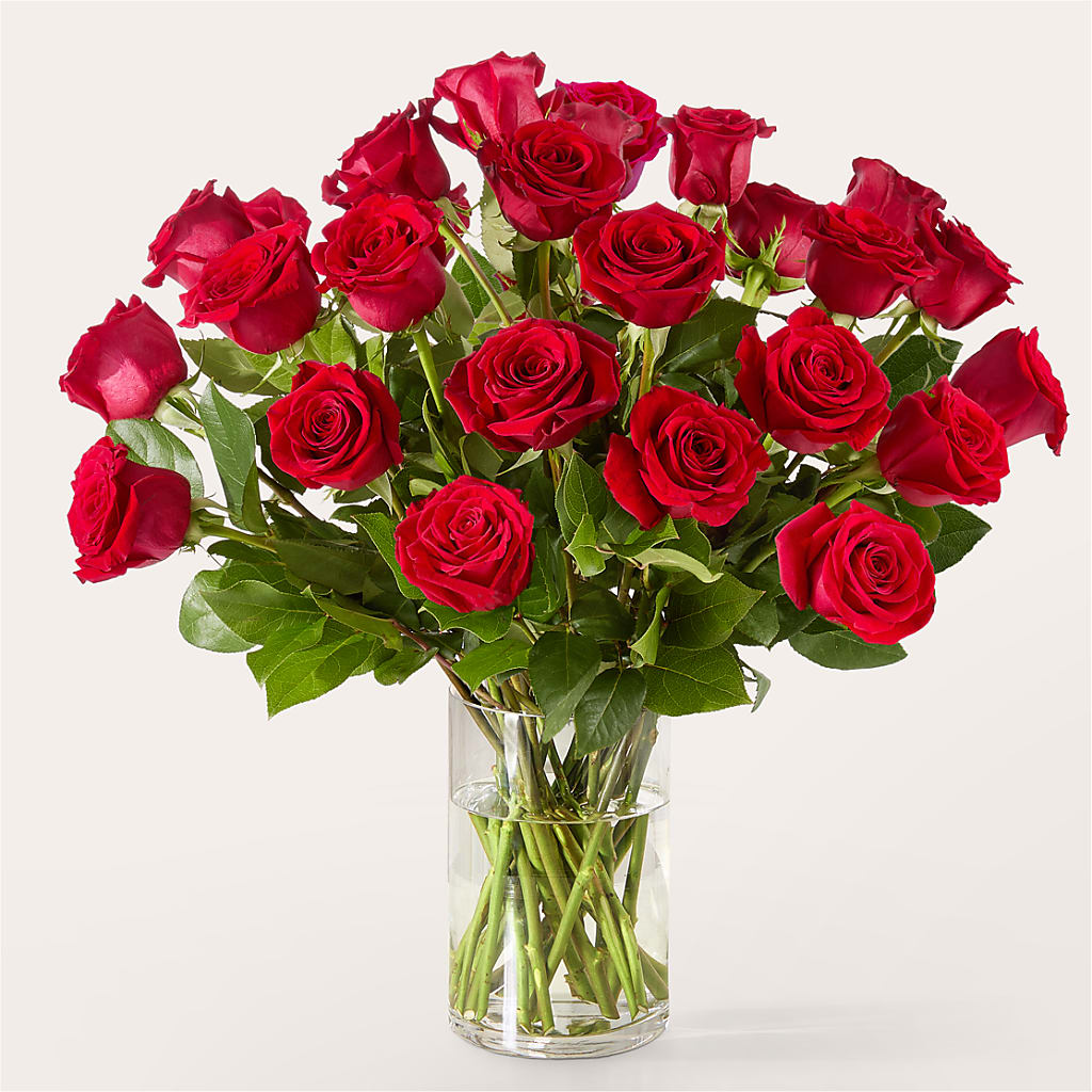 The One Red Rose Bouquet – DON'S FLORAL STUDIO, Leon IA
