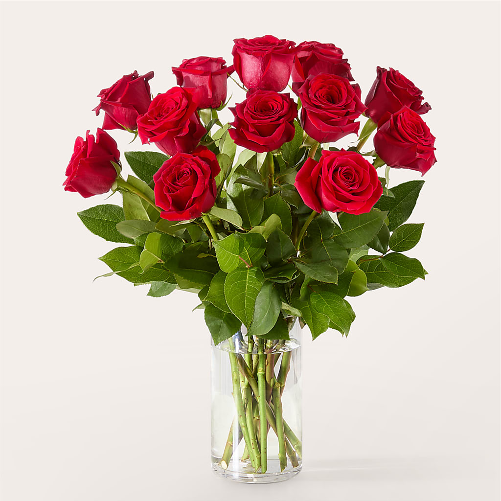 The One Red Rose Bouquet – DON'S FLORAL STUDIO, Leon IA