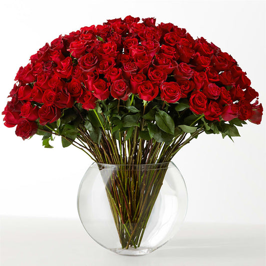 The Idealist – DON'S FLORAL STUDIO, Leon IA