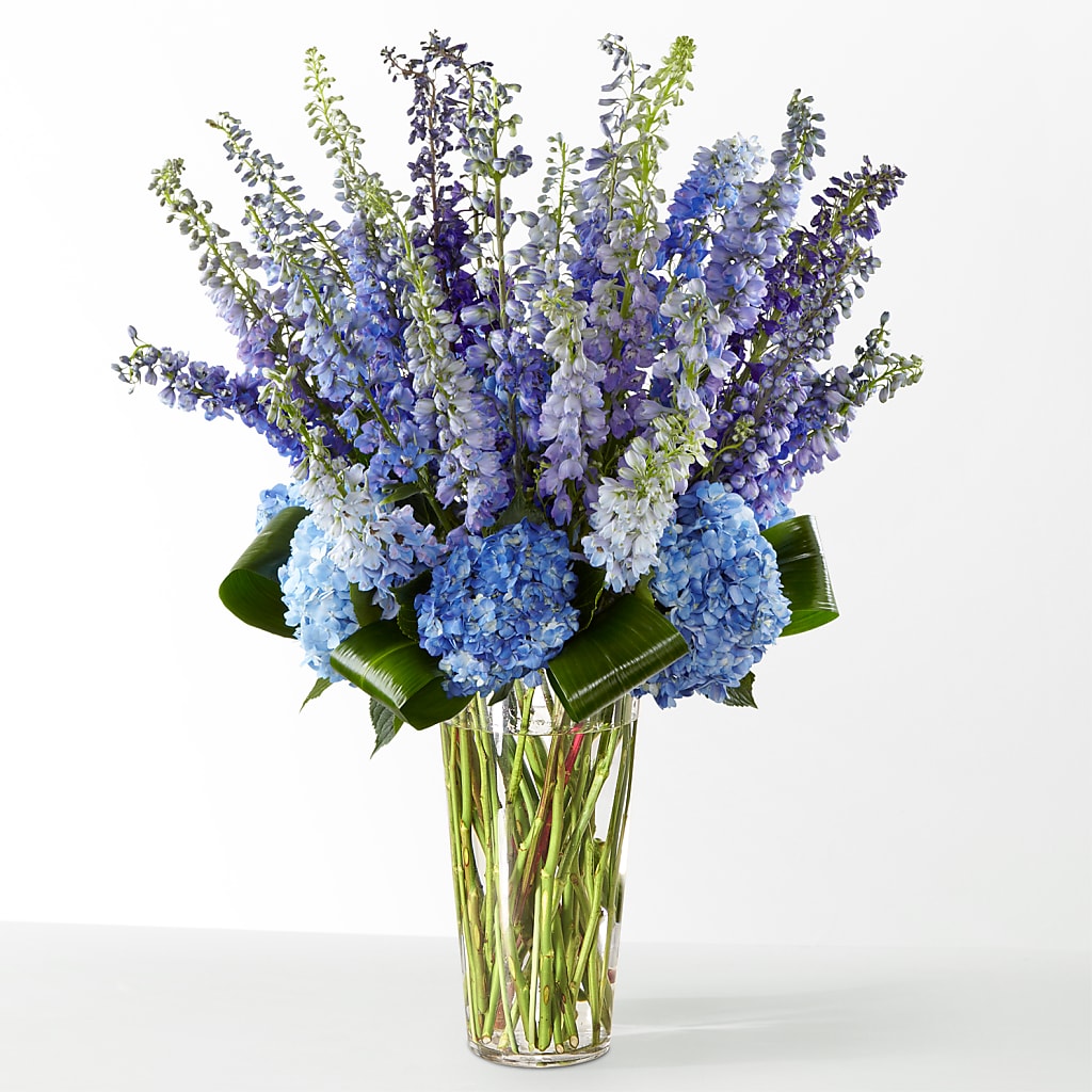 The Editorial – DON'S FLORAL STUDIO, Leon IA