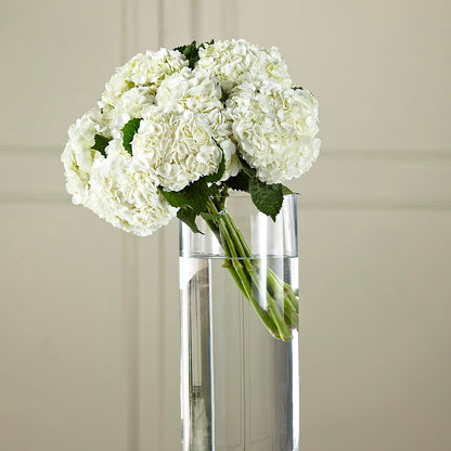 White Hydrangea Hand-Tied Bouquet – DON'S FLORAL STUDIO, Leon IA