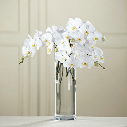 White Phalaenopsis Bouquet – DON'S FLORAL STUDIO, Leon IA