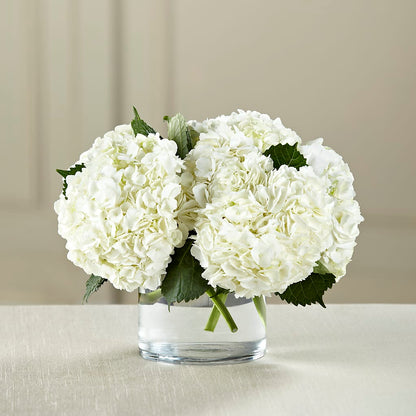 White Hydrangea Bouquet – DON'S FLORAL STUDIO, Leon IA
