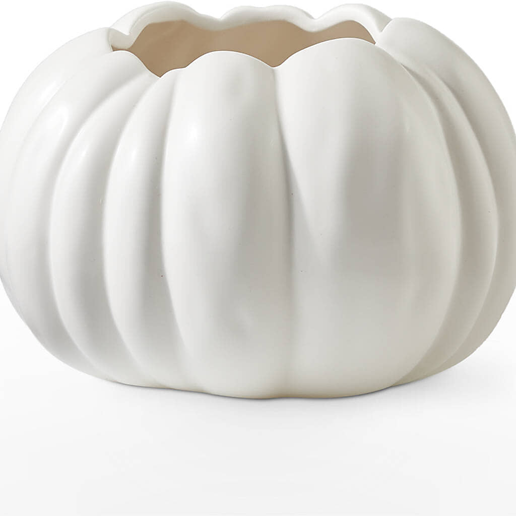 Pumpkin to Talk About Bouquet – DON'S FLORAL STUDIO, Leon IA